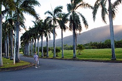 0404 Cairns